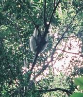 ������ ���� ����